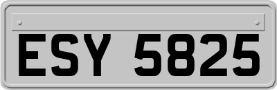 ESY5825