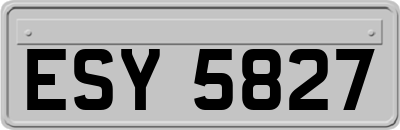 ESY5827