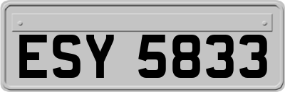 ESY5833