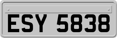 ESY5838