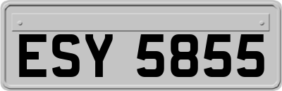 ESY5855