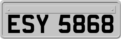 ESY5868