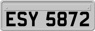 ESY5872