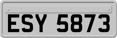 ESY5873
