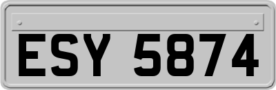 ESY5874