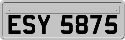 ESY5875