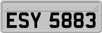 ESY5883