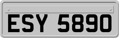 ESY5890