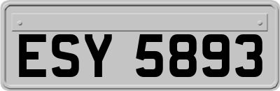 ESY5893