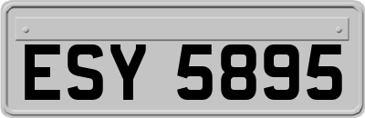 ESY5895
