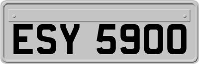 ESY5900