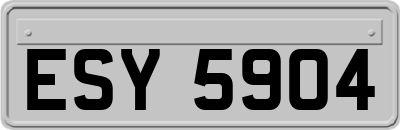 ESY5904