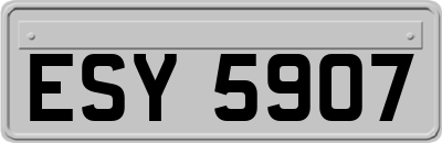ESY5907