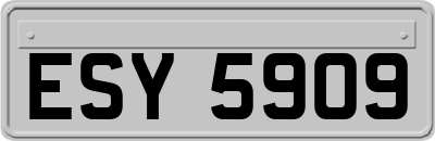 ESY5909