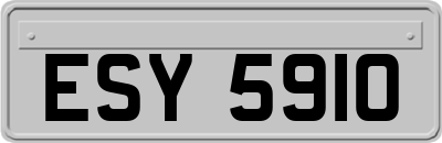 ESY5910