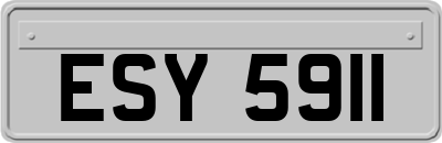 ESY5911