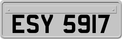 ESY5917