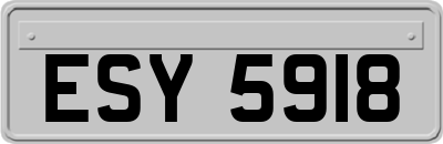 ESY5918