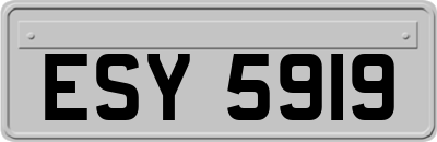 ESY5919