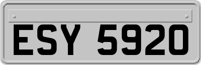 ESY5920