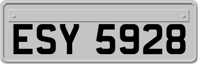 ESY5928