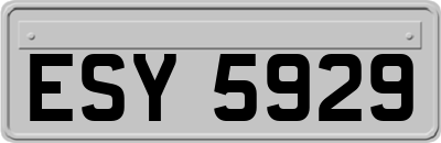 ESY5929