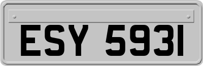 ESY5931