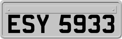 ESY5933