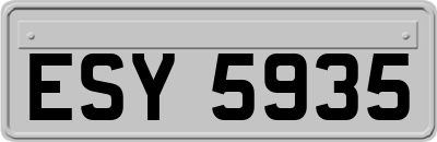 ESY5935