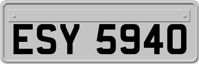 ESY5940