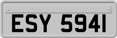 ESY5941
