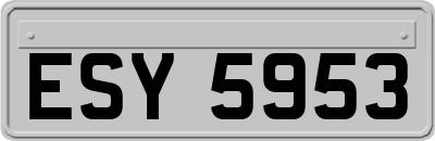 ESY5953