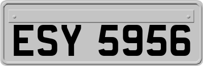 ESY5956