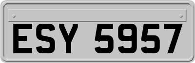 ESY5957