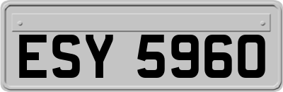 ESY5960