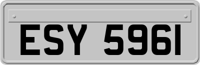 ESY5961
