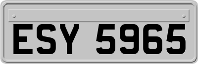 ESY5965