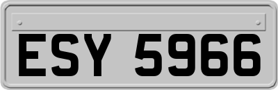 ESY5966