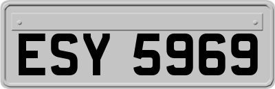 ESY5969