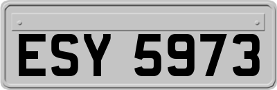 ESY5973