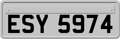 ESY5974