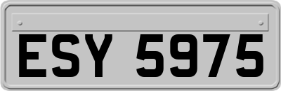 ESY5975