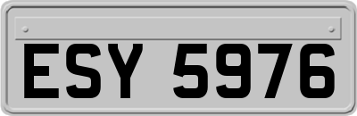 ESY5976