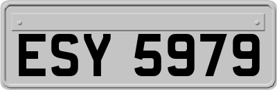 ESY5979