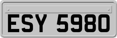 ESY5980