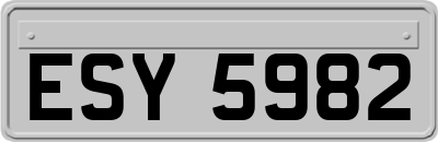 ESY5982
