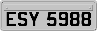 ESY5988