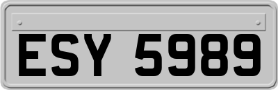 ESY5989