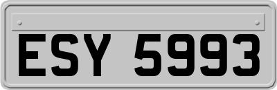 ESY5993