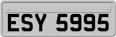 ESY5995